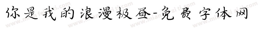 你是我的浪漫极昼字体转换
