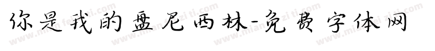 你是我的盘尼西林字体转换