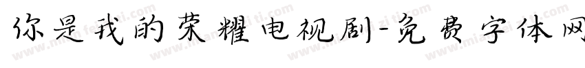 你是我的荣耀电视剧字体转换