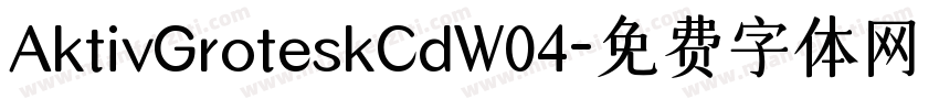 AktivGroteskCdW04字体转换