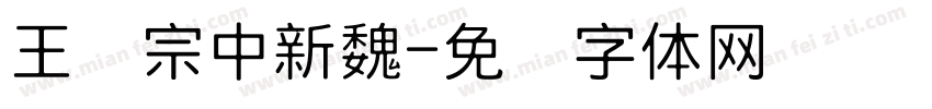 王汉宗中新魏字体转换