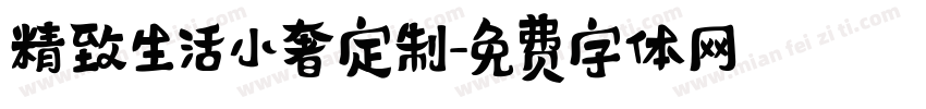 精致生活小奢定制字体转换