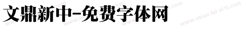 文鼎新中字体转换