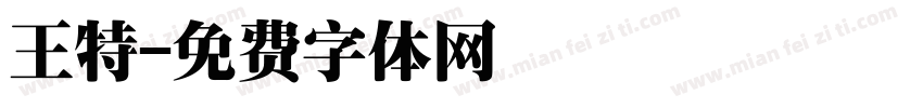 王特字体转换