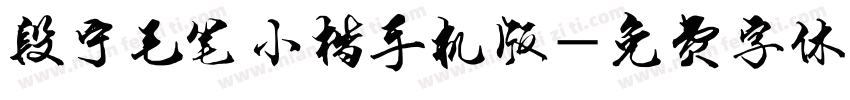 段宁毛笔小楷手机版字体转换