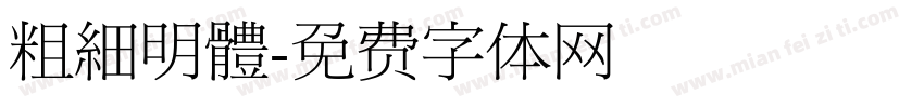 粗細明體字体转换