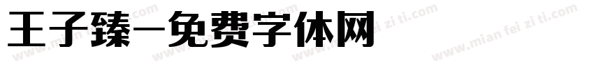 王子臻字体转换
