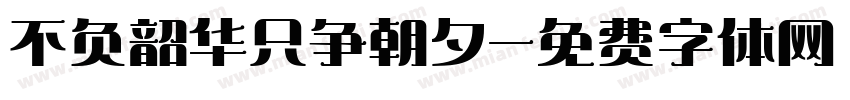 不负韶华只争朝夕字体转换