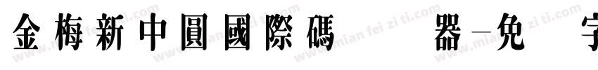 金梅新中圓國際碼转换器字体转换