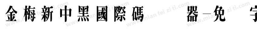 金梅新中黑國際碼转换器字体转换