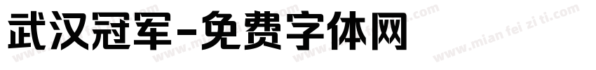 武汉冠军字体转换