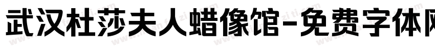武汉杜莎夫人蜡像馆字体转换