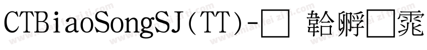 CTBiaoSongSJ(TT)字体转换