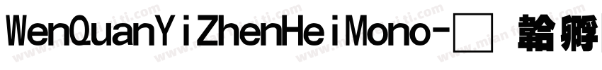 WenQuanYiZhenHeiMono字体转换