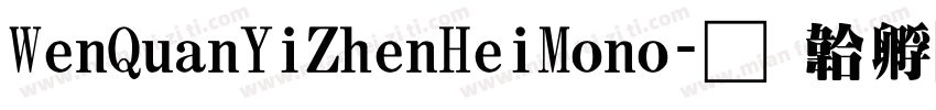 WenQuanYiZhenHeiMono字体转换