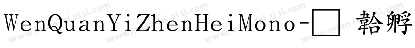 WenQuanYiZhenHeiMono字体转换