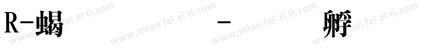 R-粗明體字体转换