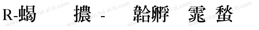 R-粗明體字体转换