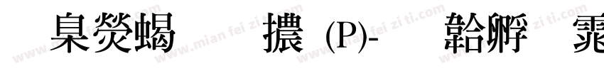 華康粗明體(P)字体转换