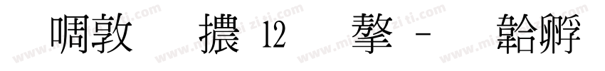 新細明體12號字字体转换