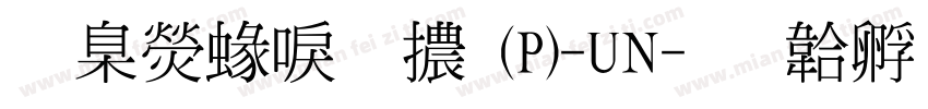 華康細明體(P)-UN字体转换