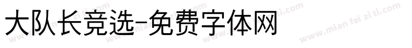 大队长竞选字体转换