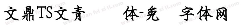 文鼎TS文青钢笔体字体转换