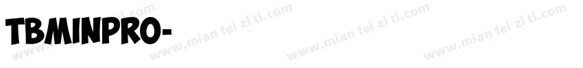 TBMinPro字体转换