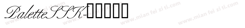 PaletteSSK字体转换