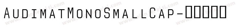 AudimatMonoSmallCap字体转换