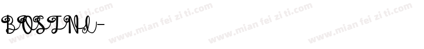 BOSTNI字体转换