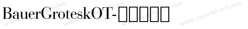 BauerGroteskOT字体转换