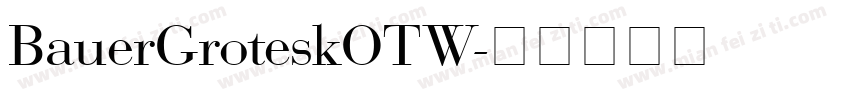 BauerGroteskOTW字体转换