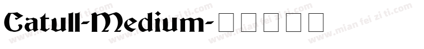 Catull-Medium字体转换