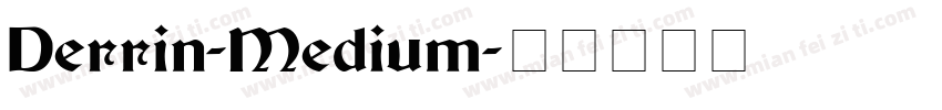 Derrin-Medium字体转换