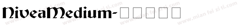 NiveaMedium字体转换