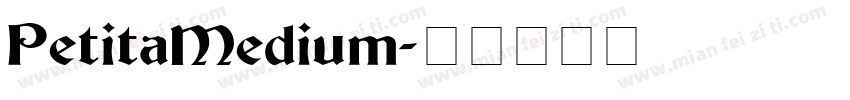 PetitaMedium字体转换