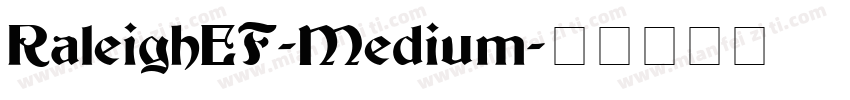 RaleighEF-Medium字体转换