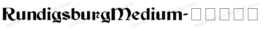 RundigsburgMedium字体转换