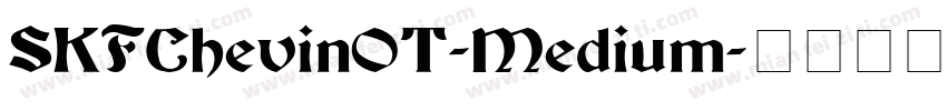 SKFChevinOT-Medium字体转换