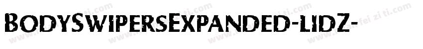 BodySwipersExpanded-l1dZ字体转换