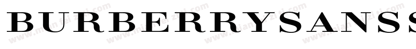 BurberrySansSerif字体转换