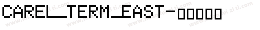 CAREL_TERM_EAST字体转换