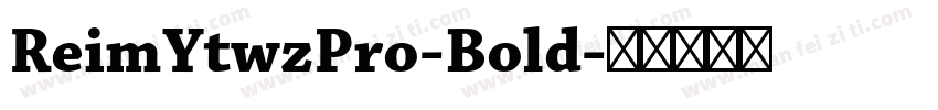 ReimYtwzPro-Bold字体转换
