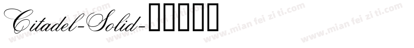 Citadel-Solid字体转换