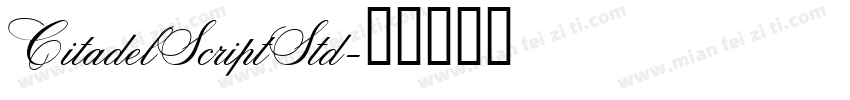 CitadelScriptStd字体转换