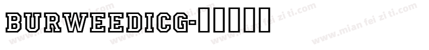 BurweedICG字体转换