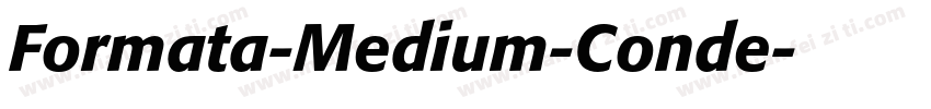 Formata-Medium-Conde字体转换