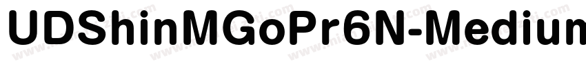 UDShinMGoPr6N-Medium字体转换