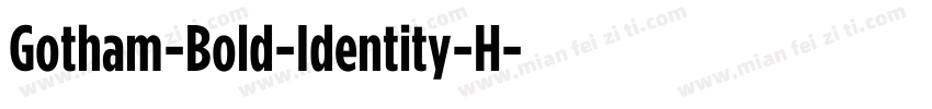 Gotham-Bold-Identity-H字体转换